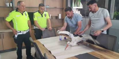Konya'daki yaralı leyleğe polisten şefkat eli