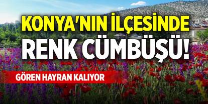 Konya'nın ilçesinde renk cümbüşü! Gören hayran kalıyor