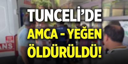 Tunceli’de amca- yeğen öldürüldü!