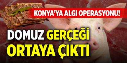 Konya’ya algı operasyonu! Domuz gerçeği ortaya çıktı