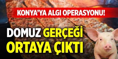 Konya’ya algı operasyonu! Domuz gerçeği ortaya çıktı