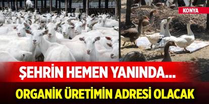 Şehrin hemen yanında... Konya'da organik üretimin adresi olacak