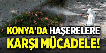 Konya'da haşerelere karşı mücadele