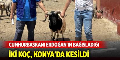 Cumhurbaşkanı Erdoğan'ın bağışladığı kurbanlık iki koç, Konya'da kesildi