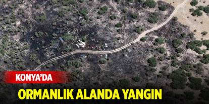 Konya’da ormanlık alanda yangın paniği