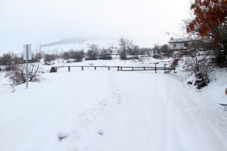 Kar direkleri devirdi, köy ve mezralar elektriksiz kaldı