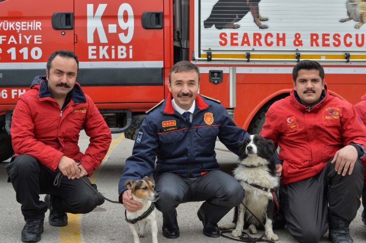Ankara itfaiyesi K-9 köpekleri artık lisanslı