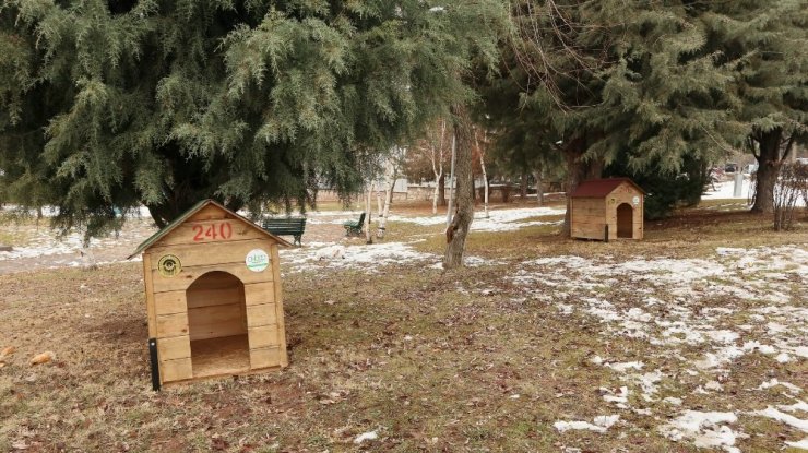 Odunpazarı Belediyesi ‘Sokaktaki dostlar’ için kulübe yaptı