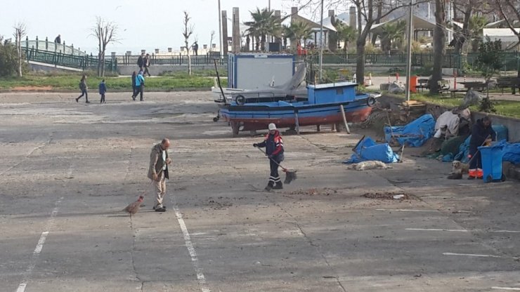 Akçakoca’da sahilde ve yollarda temizlik çalışmaları son hız devam ediyor