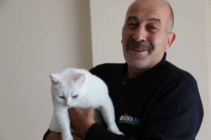 Kahraman şoför yaralı yavru kediyi hayata bağladı