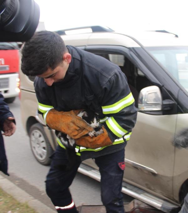 Otomobilin motorunda sıkışan kediyi itfaiye kurtardı