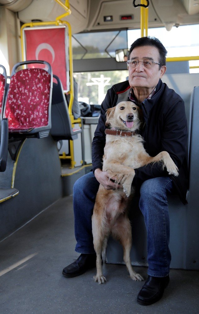 Üşüyen köpek yolcularla şehir turu attı