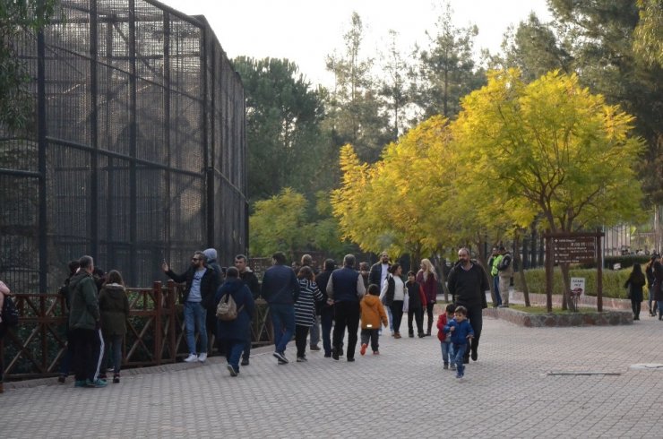 Tarsus Hayvan Parkını hafta sonunda 5 bin 500 kişi gezdi