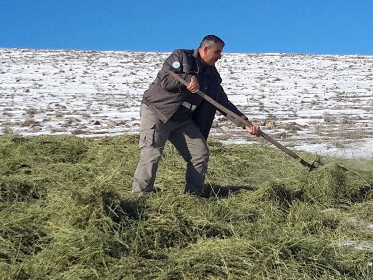 Konya’da yaban hayvanları için kar üzerine yem bırakıldı