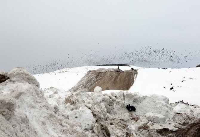 Van Büyükşehir Belediyesi 11 bin kamyon kar taşıdı