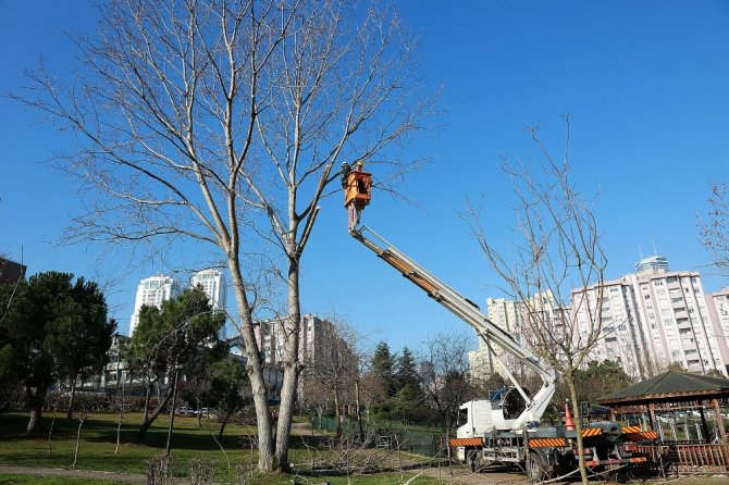 Ataşehir’de ağaç dalları elektriğe dönüşüyor