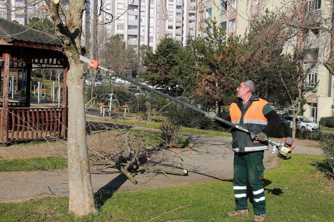 Ataşehir’de ağaç dalları elektriğe dönüşüyor