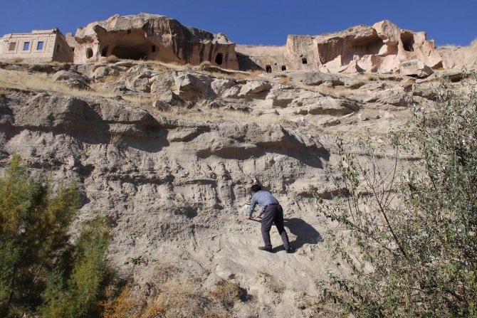 Veterinerin bulduğu 7,5 milyon yıllık fosil, file ait çıktı