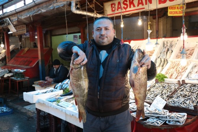 Balıkçılar çiftlik balıklarının fiyatlarının artmasına tepkili