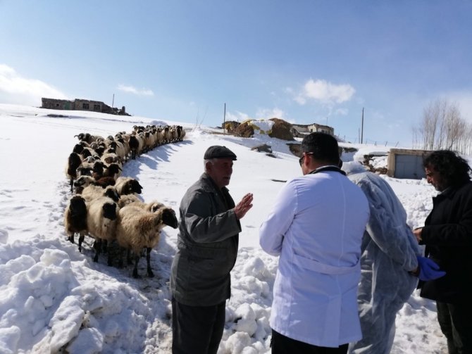 Van Bölgesi Veteriner Hekimleri Odası veteriner hekimleri deprem bölgesinde