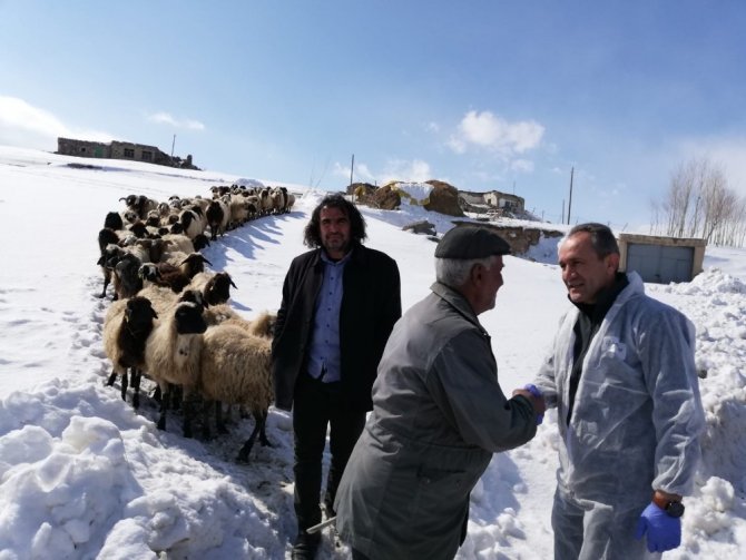 Van Bölgesi Veteriner Hekimleri Odası veteriner hekimleri deprem bölgesinde