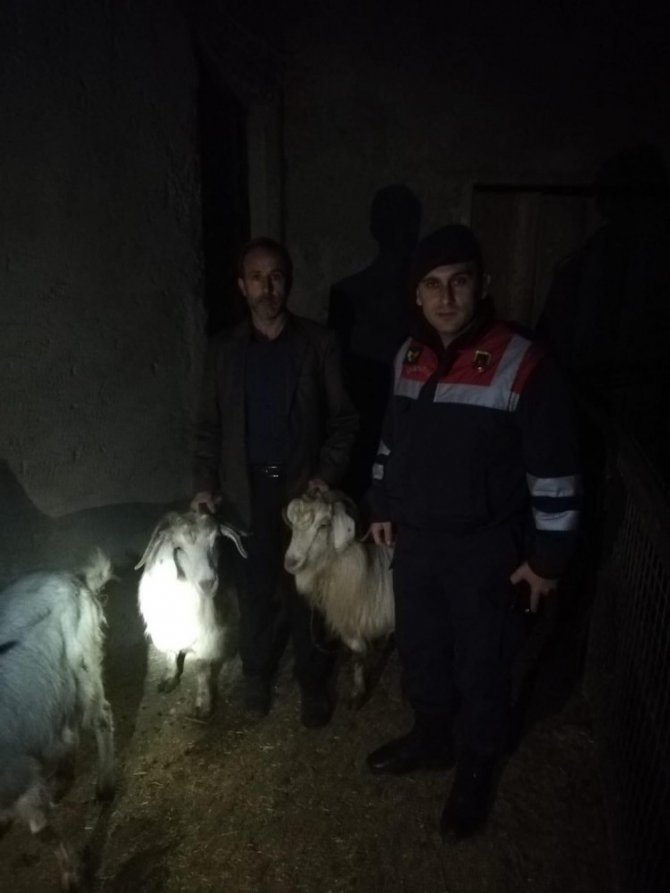 Afyonkarahisar’da 4 hayvan hırsızı tutuklandı