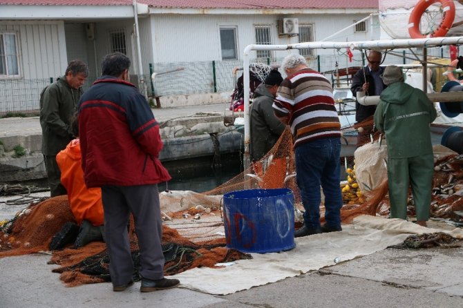 İzmirli balıkçılar: “Mültecileri adalara seve seve taşırız”