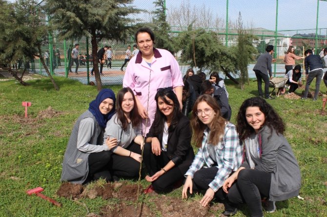 Lisenin bahçesi meyve bahçesi oldu