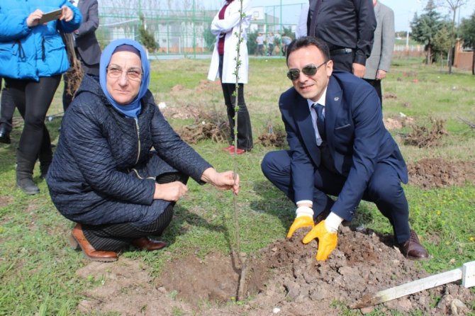 Lisenin bahçesi meyve bahçesi oldu