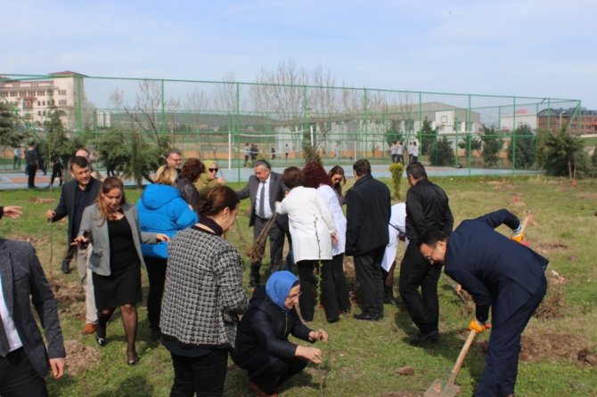 Lisenin bahçesi meyve bahçesi oldu