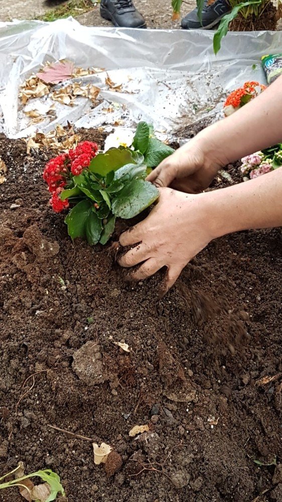 Altınoluk MYO’ da eğitim, teorikten uygulamaya devam ediyor