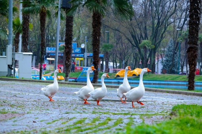 Bursa’da parklar sağlık için kapatıldı