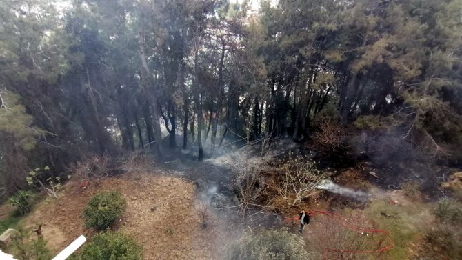 Manavgat kent merkezinde endişelendiren orman yangını