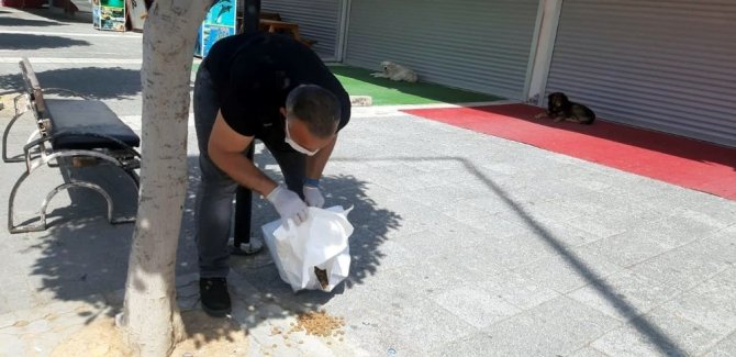 Manavgat Belediyesi sokak hayvanlarını unutmadı