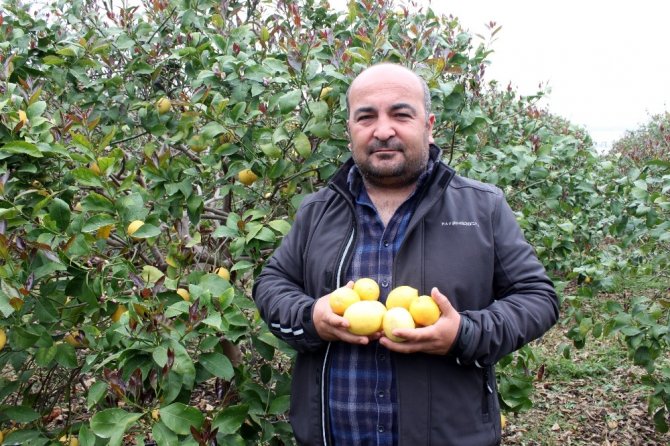 Korona’ya inat Türk çiftçisi üretiyor