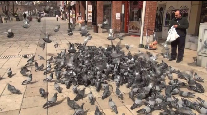 Vatandaş evden çıkamayınca güvercinler aç kaldı