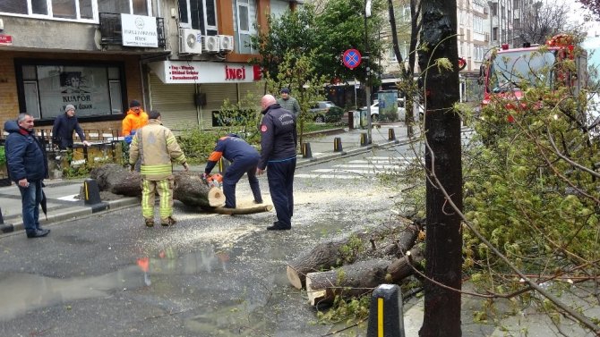 Mecidiyeköy’de fırtınanın etkisiyle devrilen ağaç yolu trafiğe kapattı