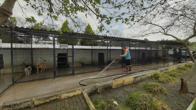 Kuşadası’nda hayvan bakım ve rehabilitasyon merkezi dezenfekte edildi