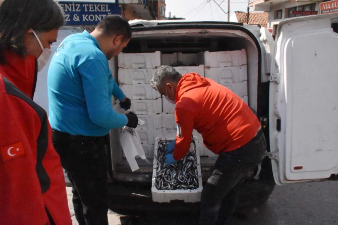 İzmir'de ihtiyaç sahiplerine 10 ton balık dağıtıldı