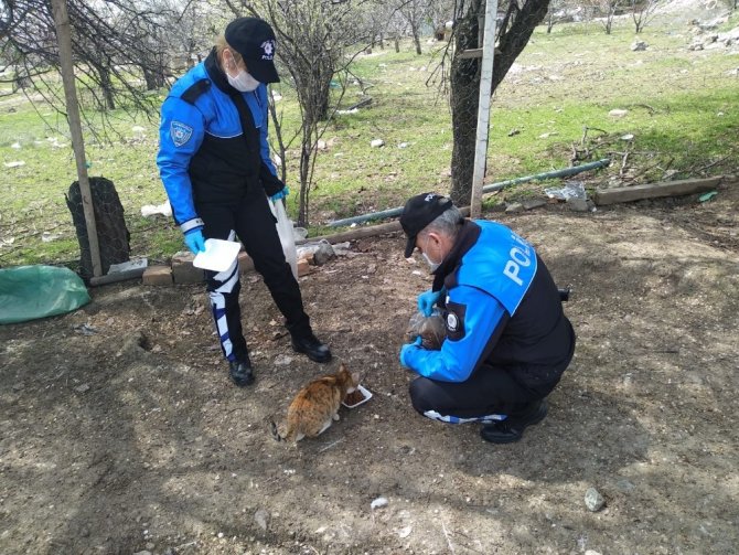 Elazığ polisi, sokak hayvanları için görevde