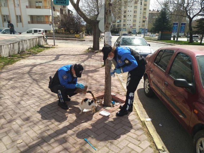 Elazığ polisi, sokak hayvanları için görevde