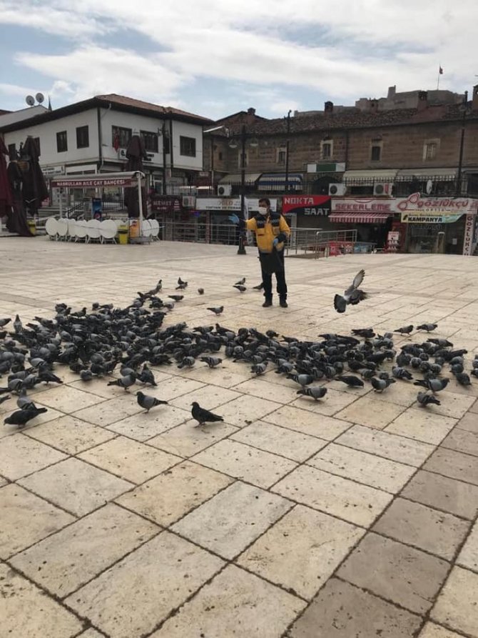 Meydanlar boş kalınca güvercinleri belediye ekipleri besledi