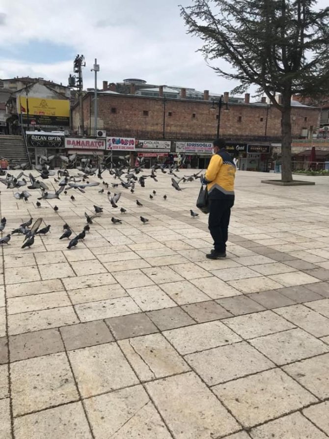 Meydanlar boş kalınca güvercinleri belediye ekipleri besledi