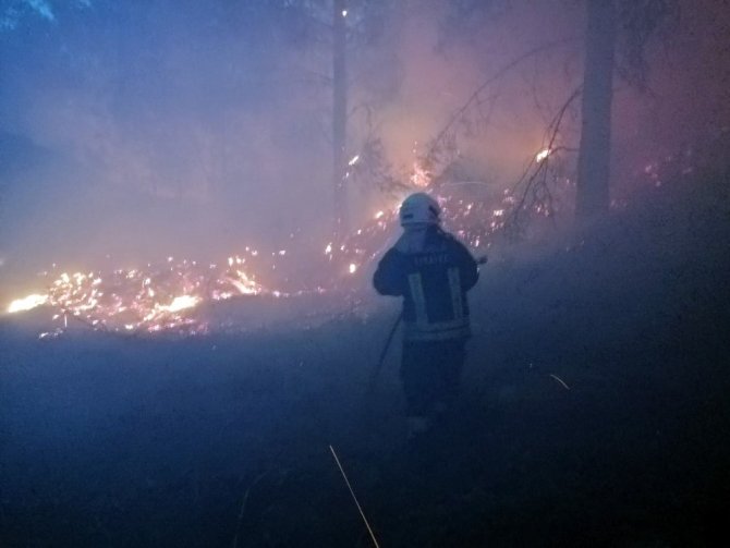 Muğla’da orman yangınları erken başladı