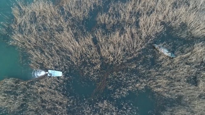 Beyşehir Gölü’nde yasa dışı avlanmaya karşı drone ile sıkı takip