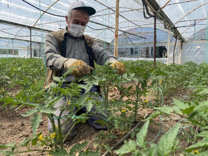 Korona sürecinde Sarıcakaya’da sebze ihracatı devam ediyor