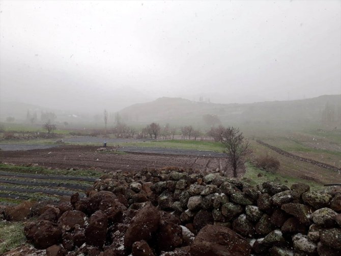 Konya'da çiftçiler kar yağışı altında çilek ekimi yapıyor