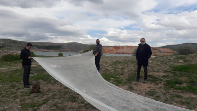 Konya'da ABD'linin baraj gölüne bıraktığı balıklar bulunamadı