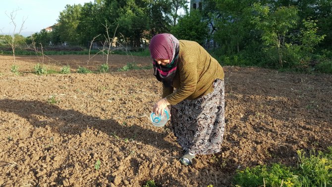 Koronavirüs, 65 yaş üstünü üretime yönlendirdi