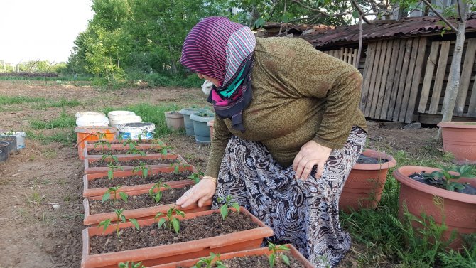 Koronavirüs, 65 yaş üstünü üretime yönlendirdi